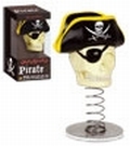 DASHBOARD PIRATE