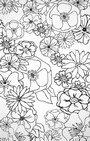 BLUMEN  SCHWARZ & WEISS